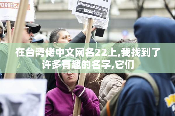 在台湾佬中文网名22上,我找到了许多有趣的名字,它们