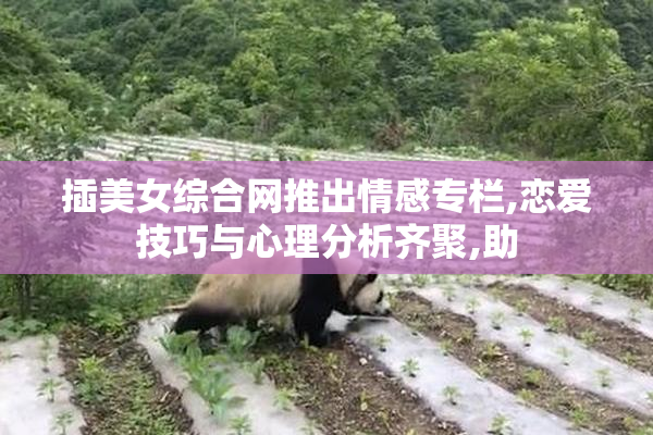 插美女综合网推出情感专栏,恋爱技巧与心理分析齐聚,助