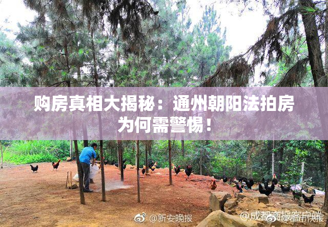 购房真相大揭秘：通州朝阳法拍房为何需警惕！