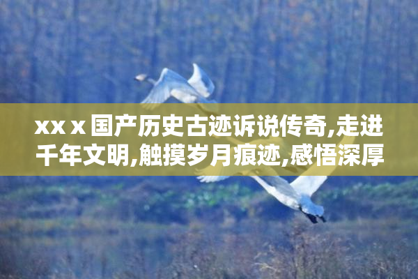 xxⅹ国产历史古迹诉说传奇,走进千年文明,触摸岁月痕迹,感悟深厚