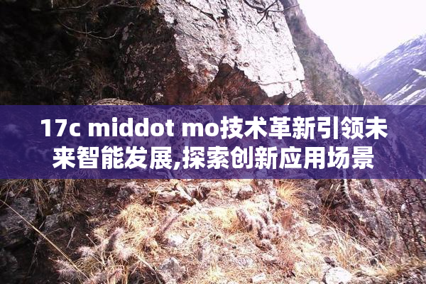 17c middot mo技术革新引领未来智能发展,探索创新应用场景