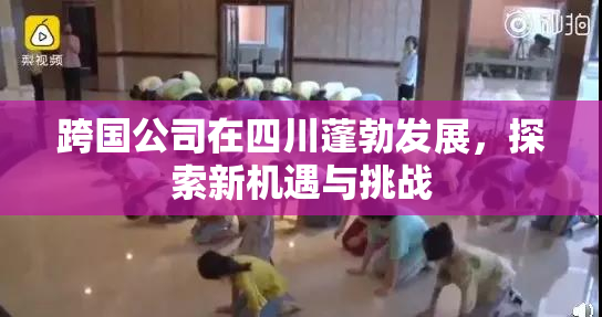 跨国公司在四川蓬勃发展，探索新机遇与挑战