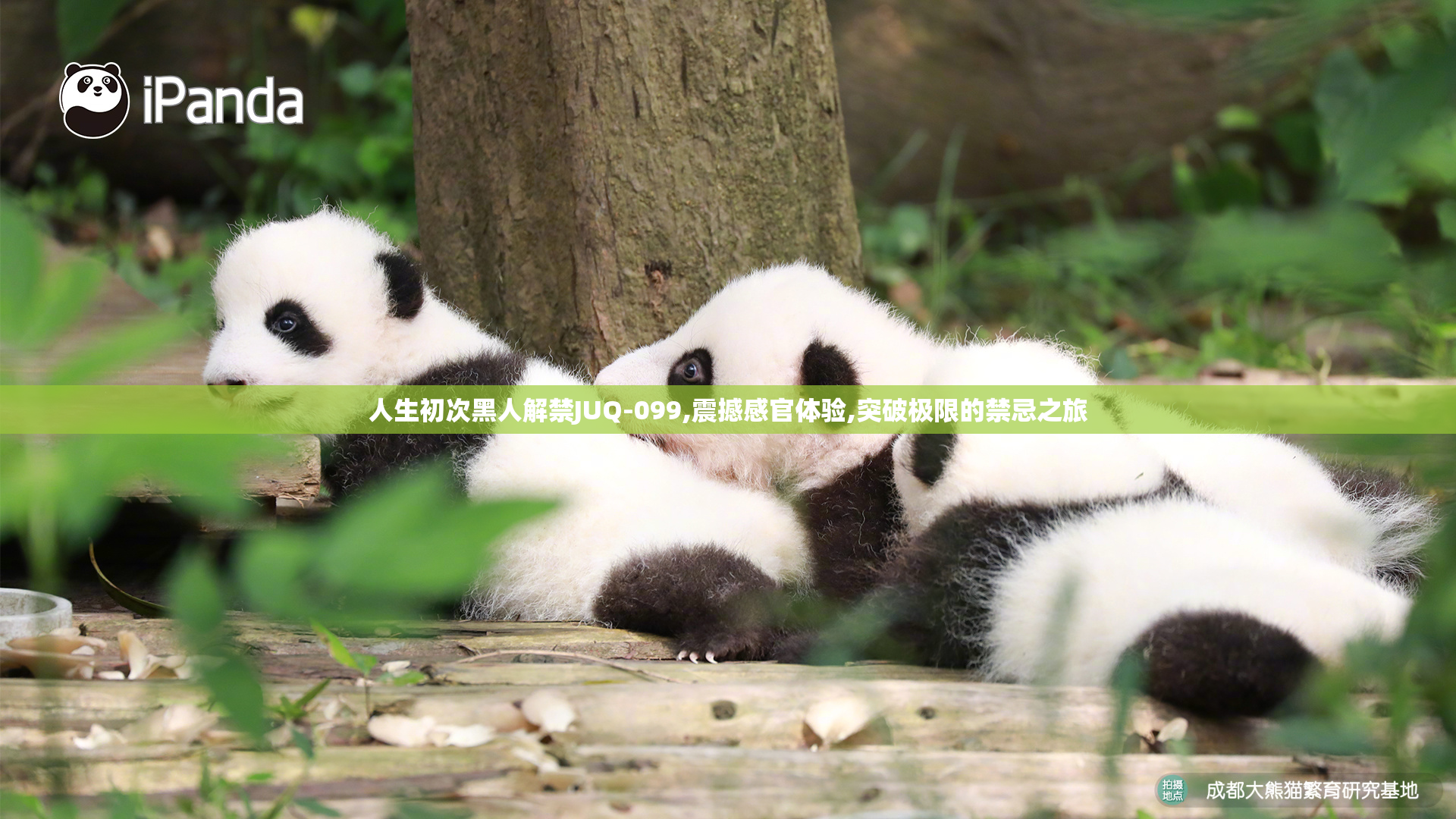 人生初次黑人解禁JUQ-099,震撼感官体验,突破极限的禁忌之旅