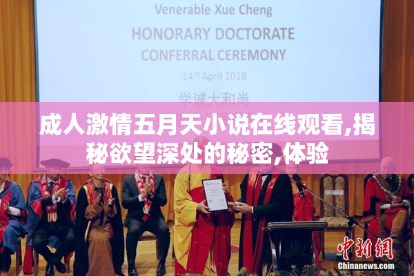 成人激情五月天小说在线观看,揭秘欲望深处的秘密,体验