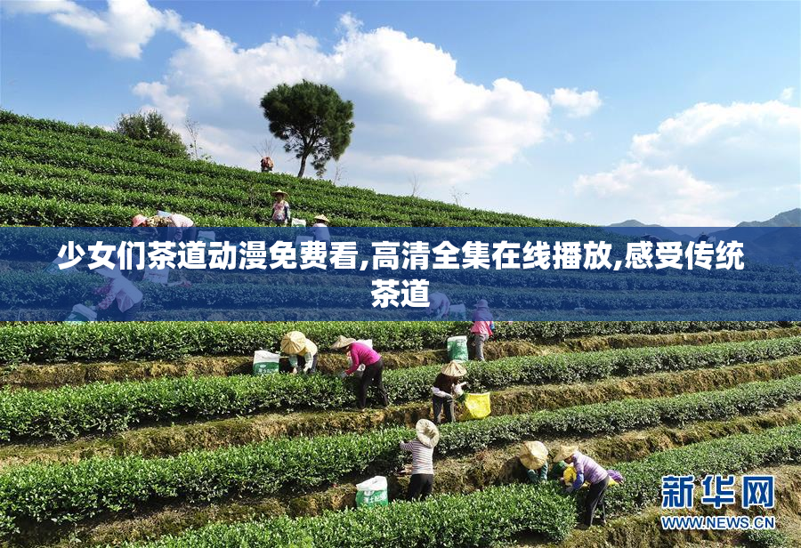 少女们茶道动漫免费看,高清全集在线播放,感受传统茶道