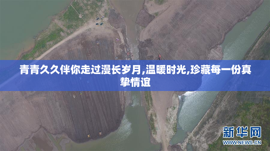 青青久久伴你走过漫长岁月,温暖时光,珍藏每一份真挚情谊