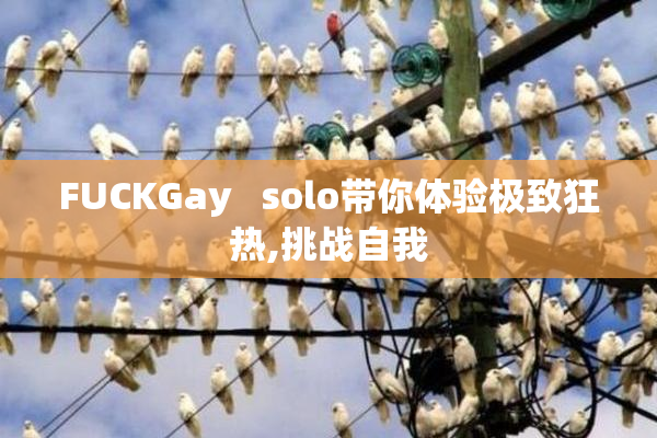 FUCKGay   solo带你体验极致狂热,挑战自我