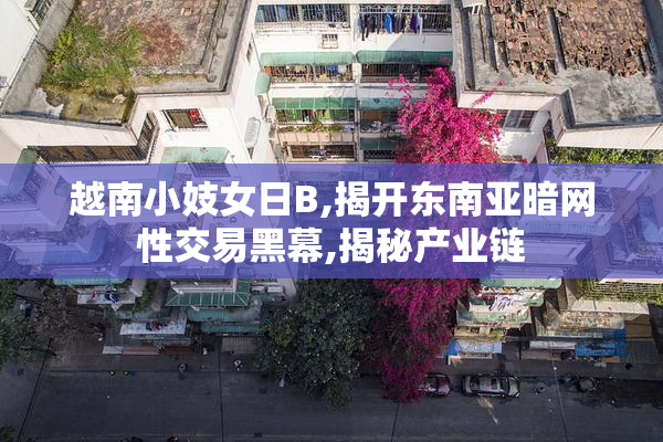 越南小妓女日B,揭开东南亚暗网性交易黑幕,揭秘产业链