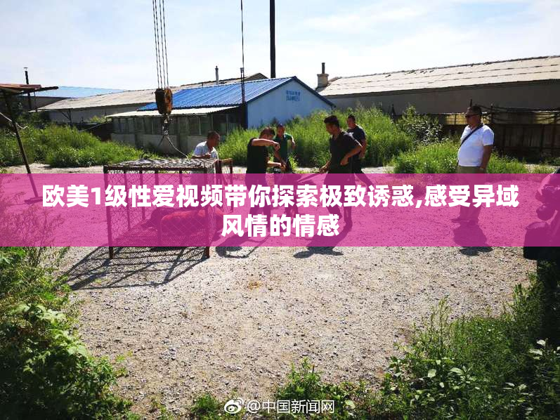 欧美1级性爱视频带你探索极致诱惑,感受异域风情的情感