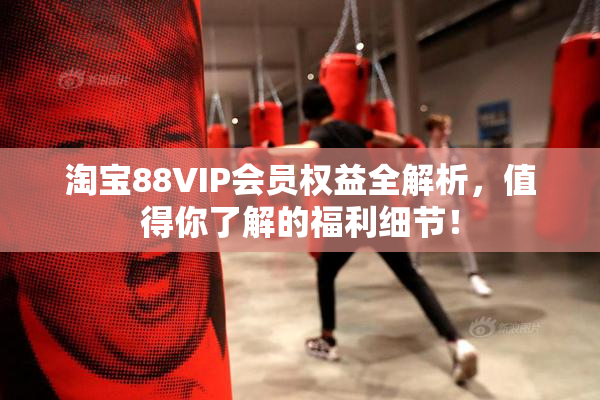淘宝88VIP会员权益全解析，值得你了解的福利细节！