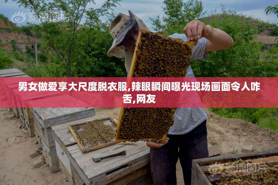 男女做爱享大尺度脱衣服,辣眼瞬间曝光现场画面令人咋舌,网友