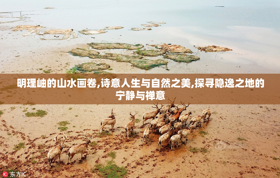 明理岫的山水画卷,诗意人生与自然之美,探寻隐逸之地的宁静与禅意
