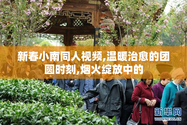 新春小南同人视频,温暖治愈的团圆时刻,烟火绽放中的