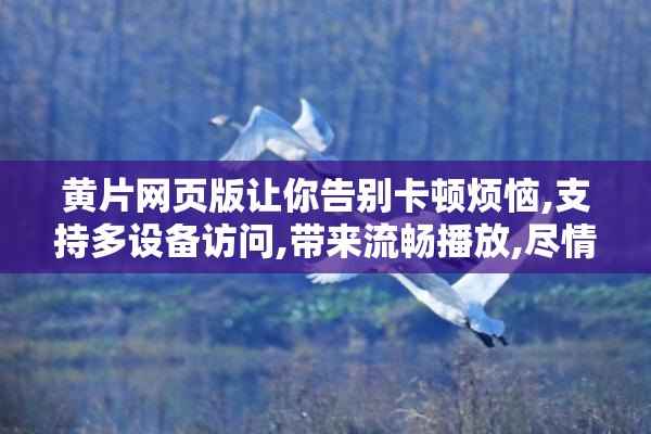 黄片网页版让你告别卡顿烦恼,支持多设备访问,带来流畅播放,尽情