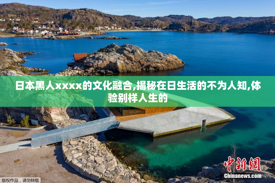 日本黑人xxxx的文化融合,揭秘在日生活的不为人知,体验别样人生的