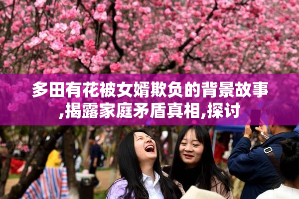 多田有花被女婿欺负的背景故事,揭露家庭矛盾真相,探讨