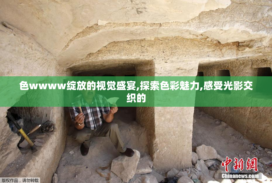色wwww绽放的视觉盛宴,探索色彩魅力,感受光影交织的