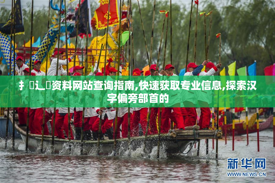 扌喿辶畐资料网站查询指南,快速获取专业信息,探索汉字偏旁部首的