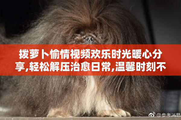 拨萝卜愉情视频欢乐时光暖心分享,轻松解压治愈日常,温馨时刻不容