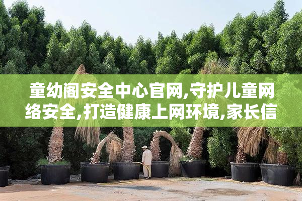 童幼阁安全中心官网,守护儿童网络安全,打造健康上网环境,家长信赖