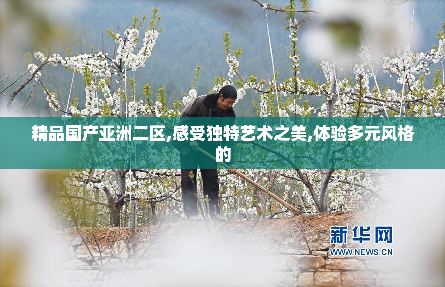 精品国产亚洲二区,感受独特艺术之美,体验多元风格的