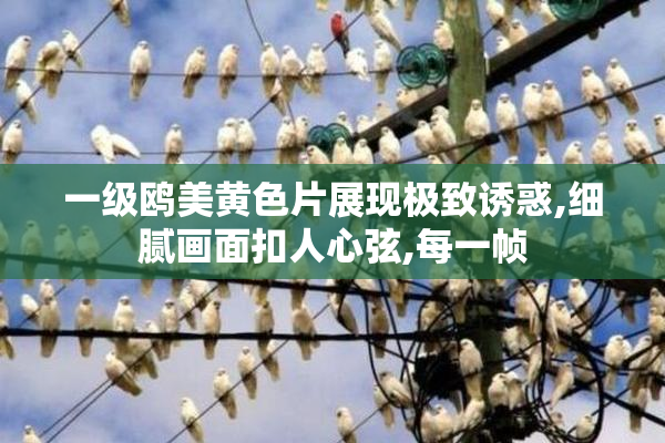 一级鸥美黄色片展现极致诱惑,细腻画面扣人心弦,每一帧