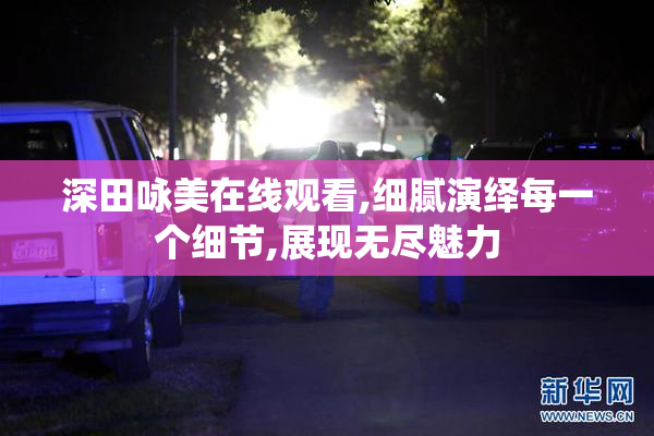 深田咏美在线观看,细腻演绎每一个细节,展现无尽魅力