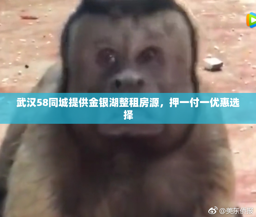 武汉58同城提供金银湖整租房源，押一付一优惠选择