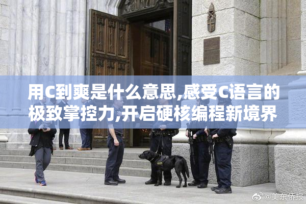 用C到爽是什么意思,感受C语言的极致掌控力,开启硬核编程新境界
