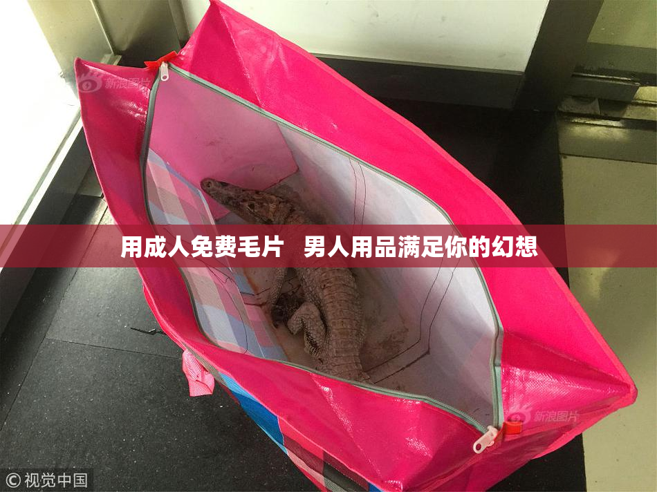 用成人免费毛片   男人用品满足你的幻想