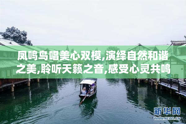 凤鸣鸟唱美心双模,演绎自然和谐之美,聆听天籁之音,感受心灵共鸣