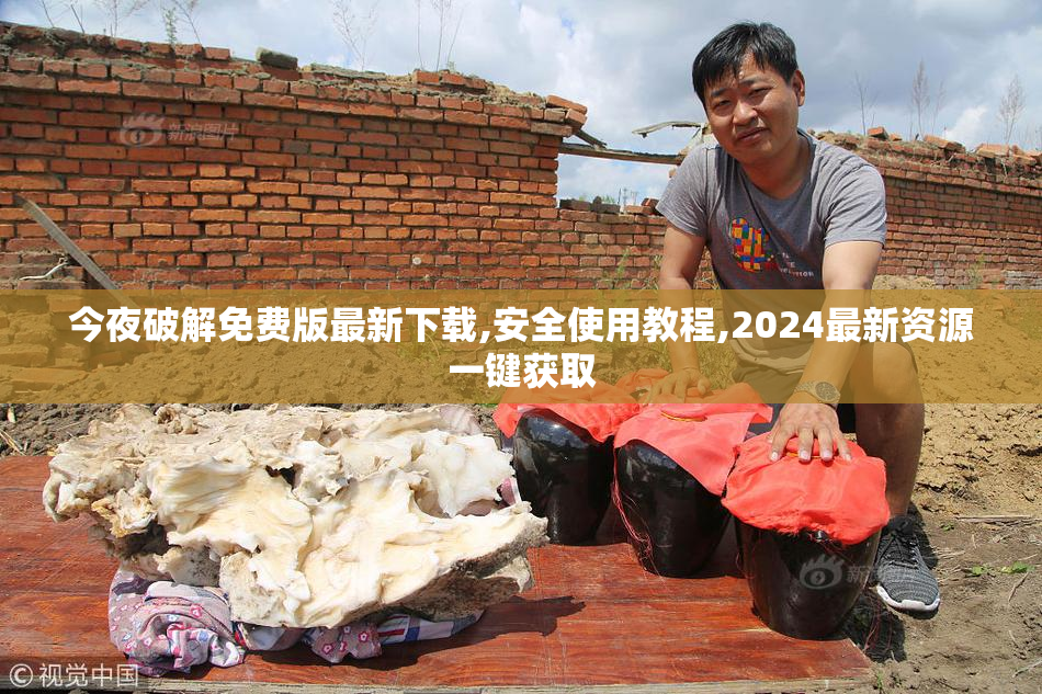今夜破解免费版最新下载,安全使用教程,2024最新资源一键获取