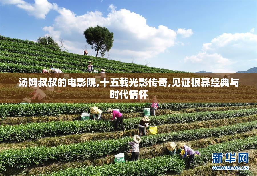 汤姆叔叔的电影院,十五载光影传奇,见证银幕经典与时代情怀