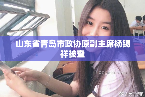 山东省青岛市政协原副主席杨锡祥被查