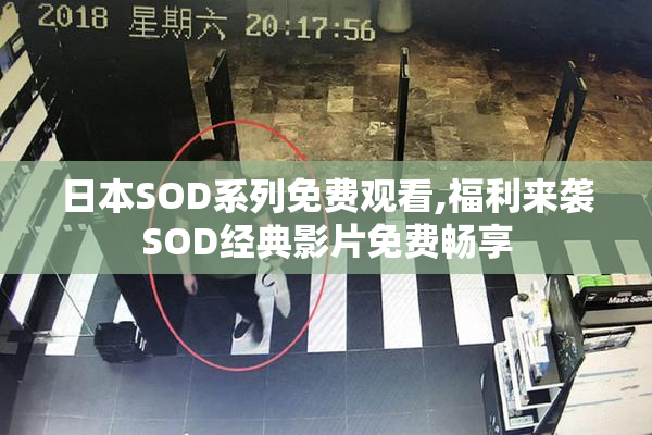 日本SOD系列免费观看,福利来袭SOD经典影片免费畅享
