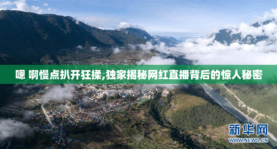 嗯 啊慢点扒开狂揉,独家揭秘网红直播背后的惊人秘密