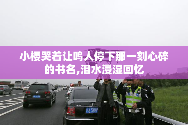 小樱哭着让鸣人停下那一刻心碎的书名,泪水浸湿回忆