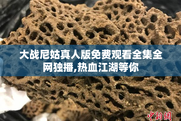 大战尼姑真人版免费观看全集全网独播,热血江湖等你