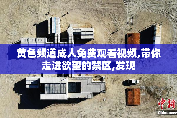 黄色频道成人免费观看视频,带你走进欲望的禁区,发现