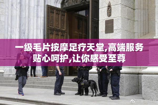 一级毛片按摩足疗天堂,高端服务贴心呵护,让你感受至尊