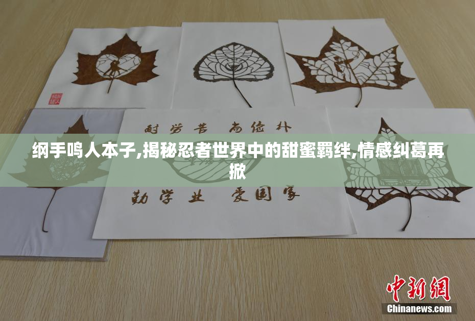 纲手鸣人本子,揭秘忍者世界中的甜蜜羁绊,情感纠葛再掀