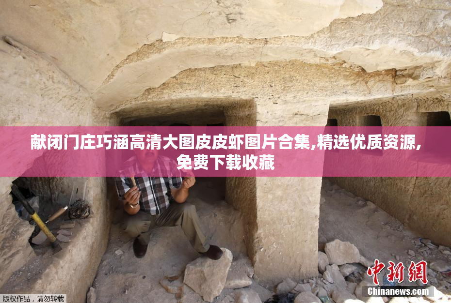 献闭门庄巧涵高清大图皮皮虾图片合集,精选优质资源,免费下载收藏
