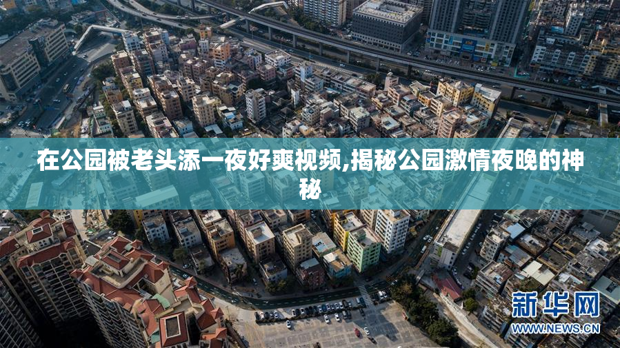 在公园被老头添一夜好爽视频,揭秘公园激情夜晚的神秘