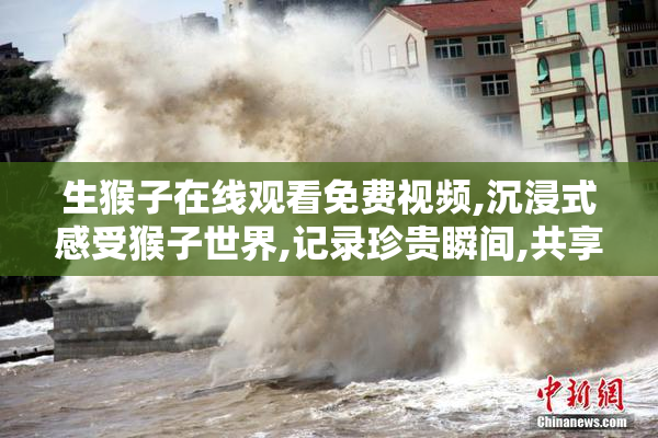 生猴子在线观看免费视频,沉浸式感受猴子世界,记录珍贵瞬间,共享