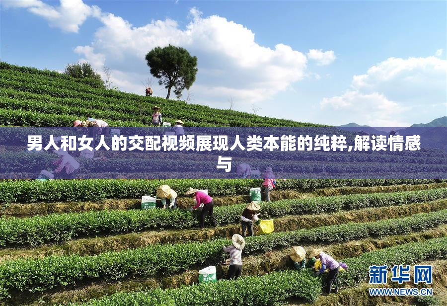 男人和女人的交配视频展现人类本能的纯粹,解读情感与