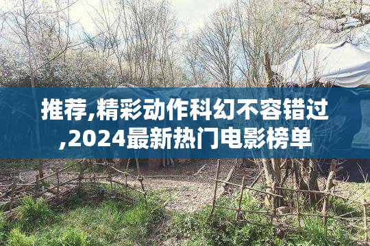 推荐,精彩动作科幻不容错过,2024最新热门电影榜单