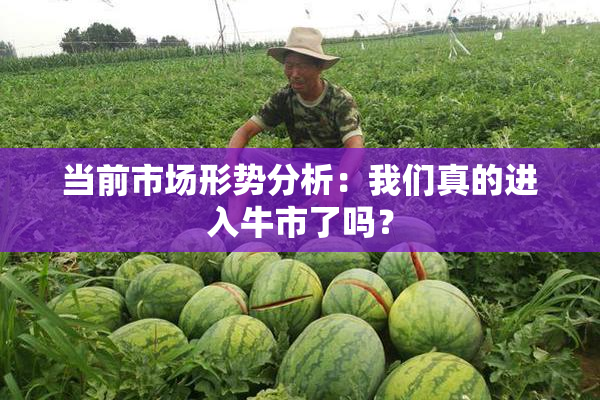 当前市场形势分析：我们真的进入牛市了吗？