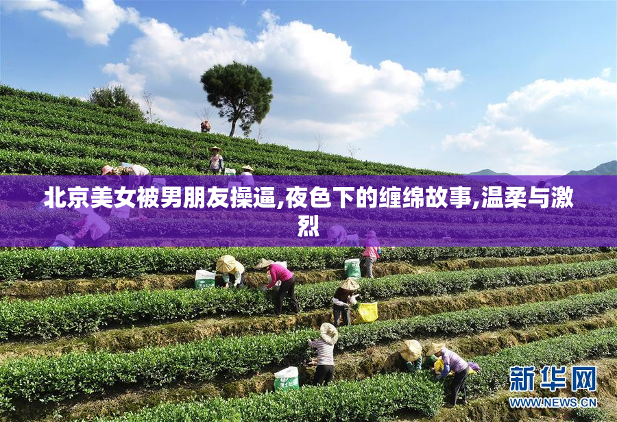 北京美女被男朋友操逼,夜色下的缠绵故事,温柔与激烈