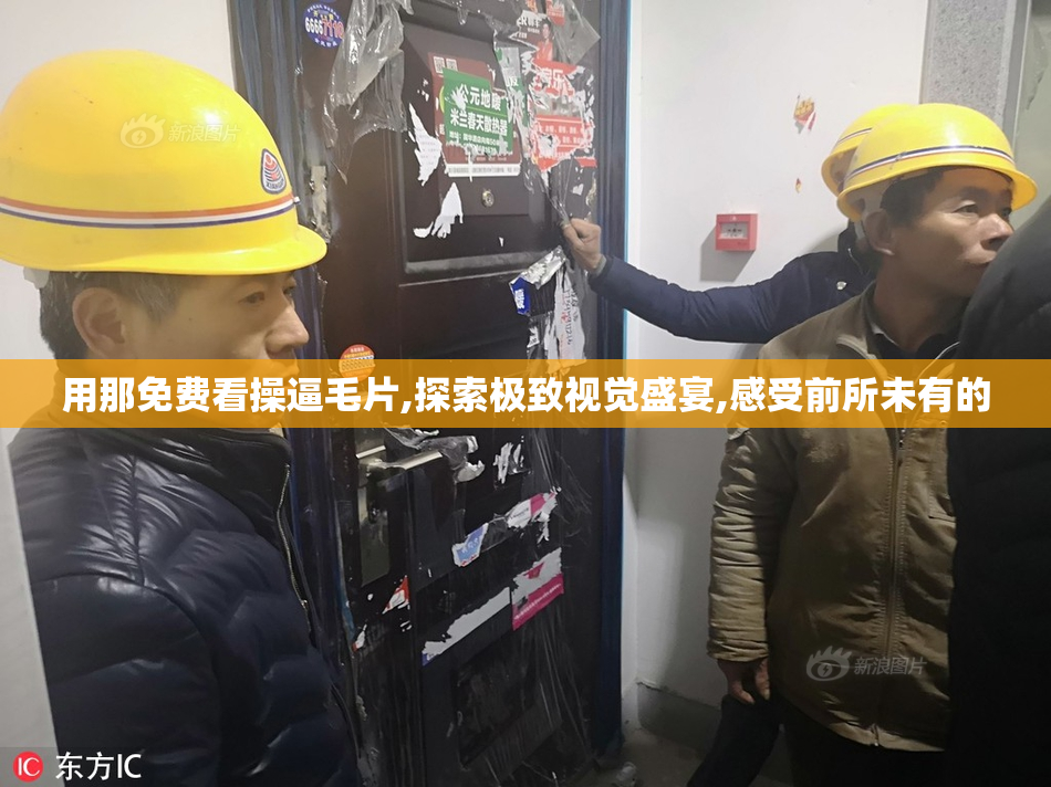 用那免费看操逼毛片,探索极致视觉盛宴,感受前所未有的