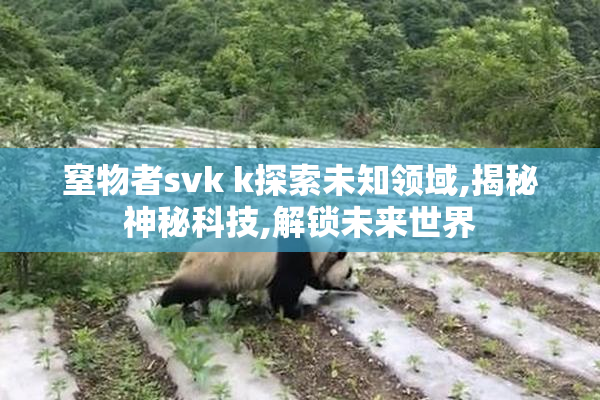 窒物者svk k探索未知领域,揭秘神秘科技,解锁未来世界